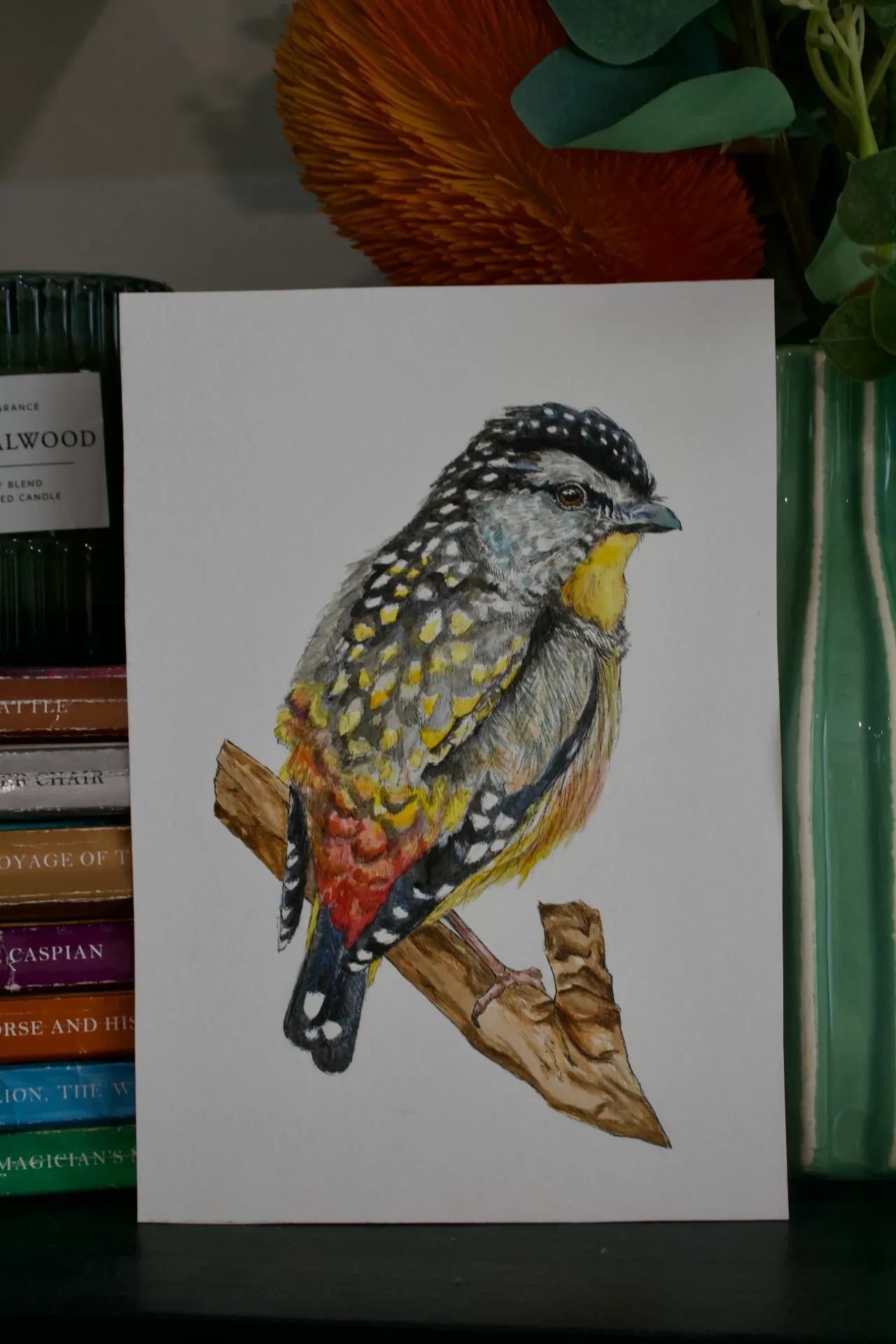 Spotted Pardalote Print