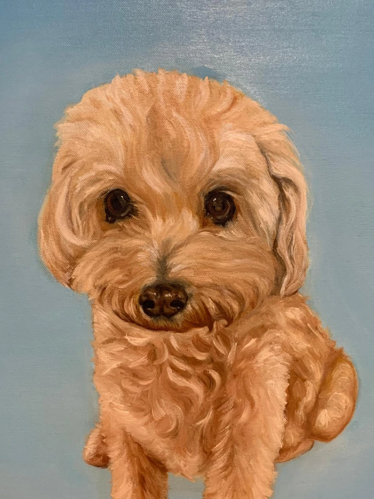 Archie Pet Portrait